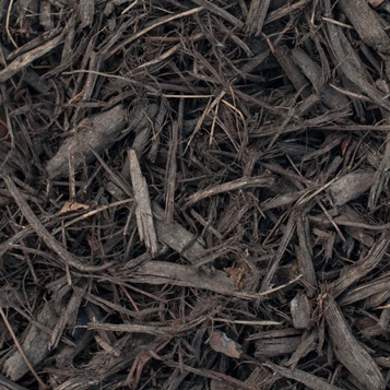 chocolate mulch