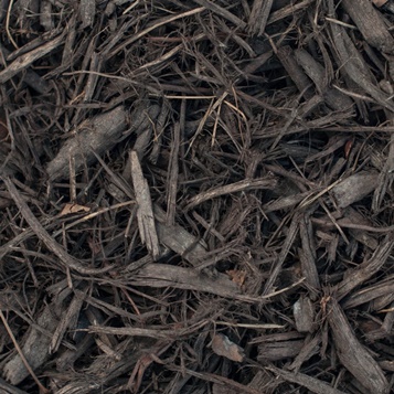 chocolate mulch